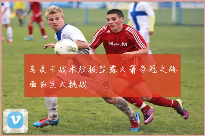 乌度卡战术短板显露火箭争冠之路面临巨大挑战